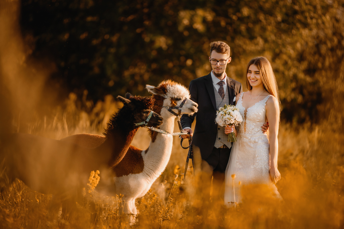 Ania i Mateusz